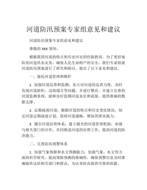 河道防汛预案专家组意见和建议