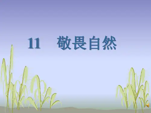 人教版八年级语文下册《敬畏自然》PPT课件(5篇)