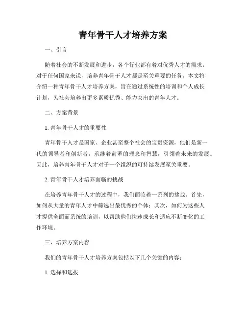 青年骨干人才培养方案