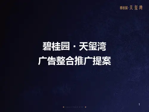 碧桂园·天玺湾广告整合推广提案-精简版PPT课件