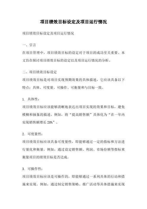 项目绩效目标设定及项目运行情况