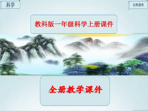 教科版一年级科学上册全册课件ppt