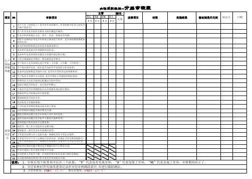 分层审核表(新版)