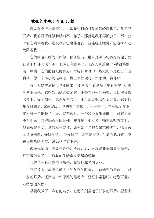 我家的小兔子作文15篇精选