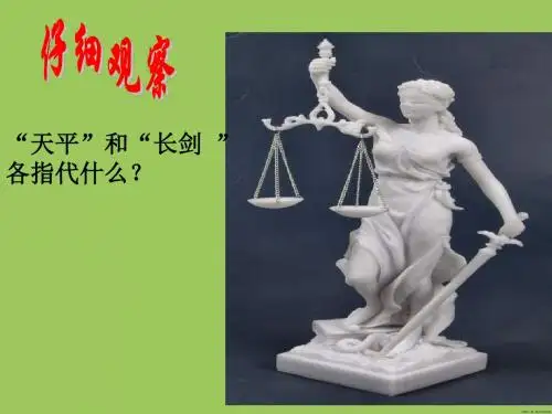 苏教版思品八下《心中要有杆“秤”》(第2框)ppt课件