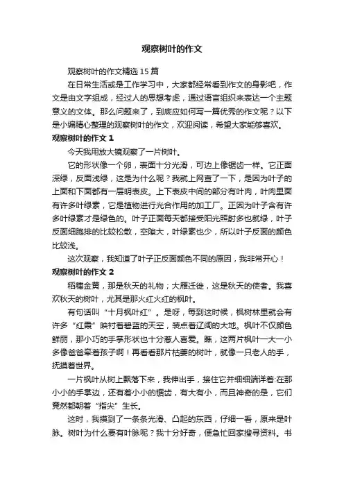 观察树叶的作文精选15篇