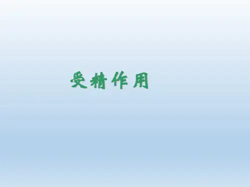 受精作用_PPT课件