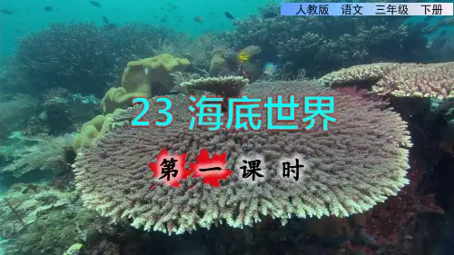 人教版三年级语文下册第七单元第23课《海底世界》课件