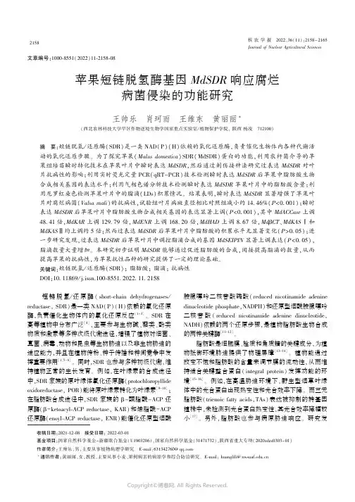 苹果短链脱氢酶基因MdSDR响应腐烂病菌侵染的功能研究