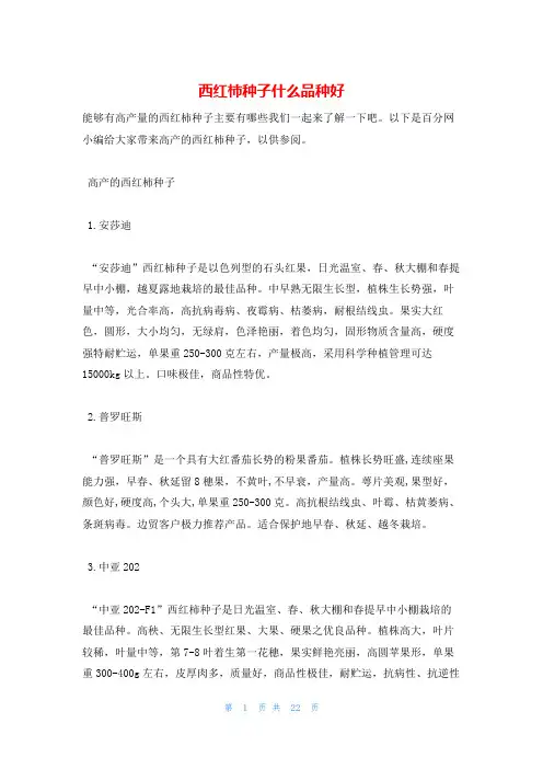 西红柿种子什么品种好