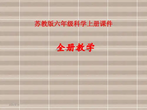 苏教版科学六年级上册全册课件【完整版】
