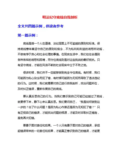 明法纪守底线自我剖析