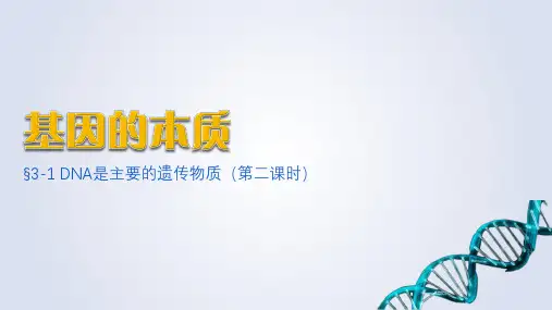 3-1 DNA是主要的遗传物质(第二课时)-高一生物同步备课课件(人教版2019必修2)