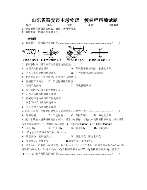 最新山东省泰安市中考物理一模名师精编试题及解析