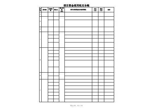 项目财务收支台账