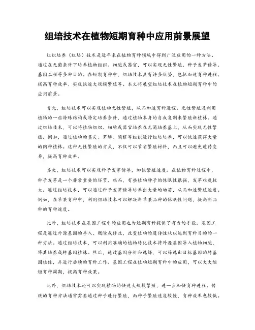 组培技术在植物短期育种中应用前景展望