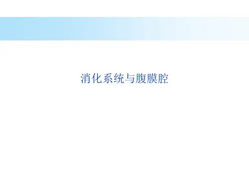 【影像诊断PPT】消化系统与腹膜腔