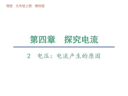 4.2  电压：电流产生的原因—2020秋教科版九年级物理上册教学课件(共17张PPT)