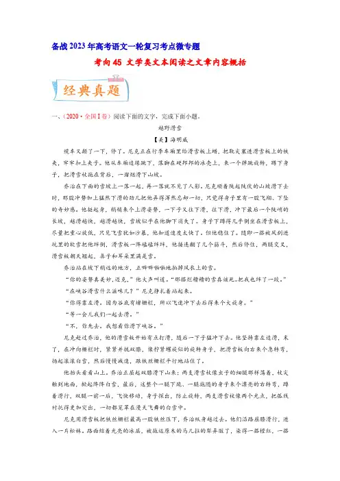 23年高考语文一轮复习考点微专题(全国卷地区专用)考向45 文学类文本阅读之文章内容概括(原卷版)