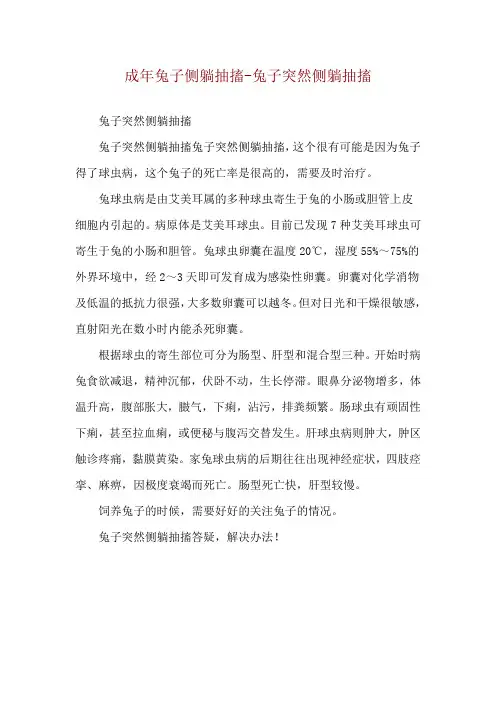 成年兔子侧躺抽搐-兔子突然侧躺抽搐