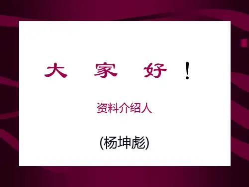 井中磁测资料解释幻灯