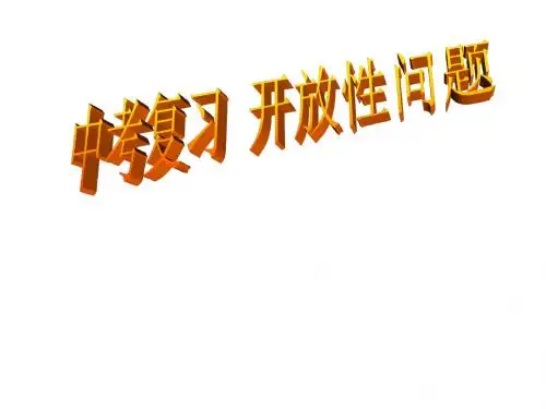2010年中考数学专题复习课件17