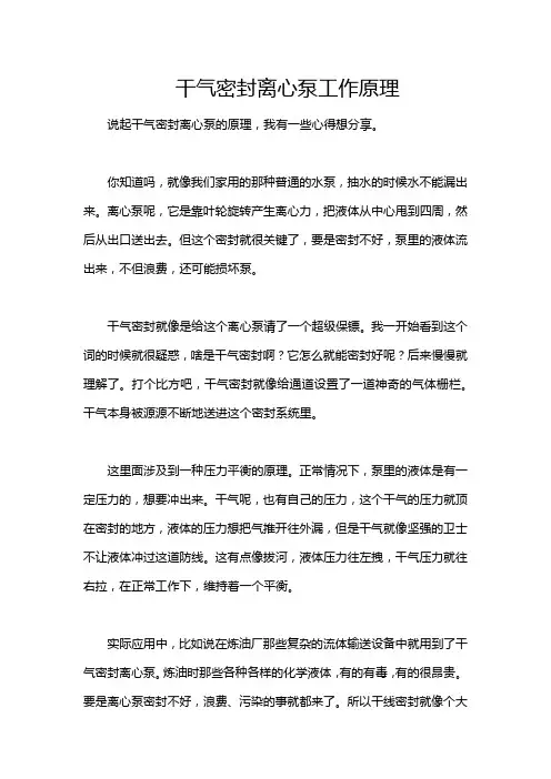 干气密封离心泵工作原理