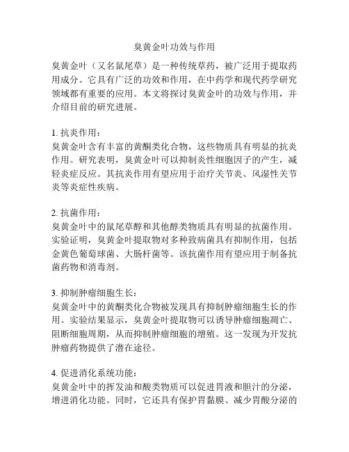 臭黄金叶功效与作用