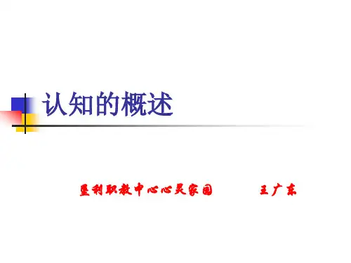 认知的概述