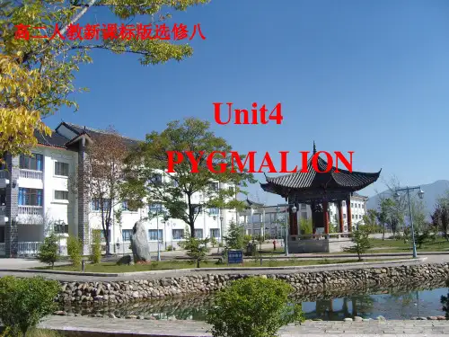 人教课标版高中英语选修8unit4reading (共15张ppt)