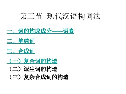 现代汉语语法知识