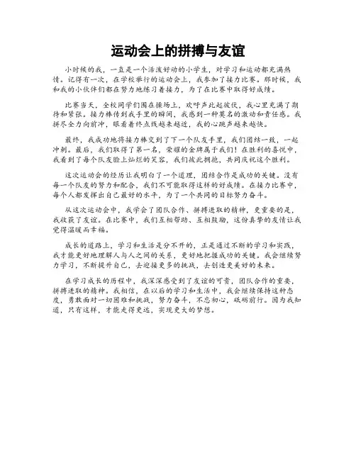 运动会上的拼搏与友谊
