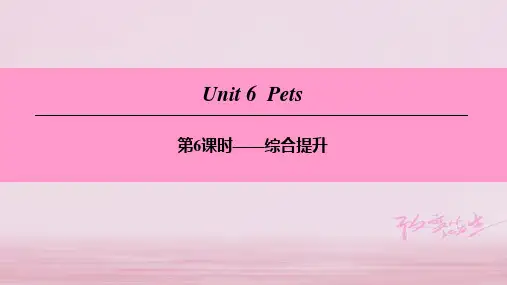 (广州沈阳通用)八年级英语下册 Unit 6 Pets(第6课时)综合提升课件 牛津深圳版
