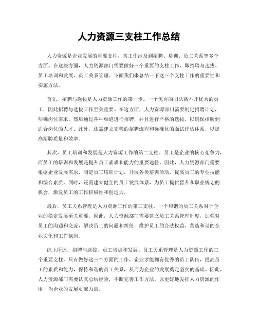 人力资源三支柱工作总结