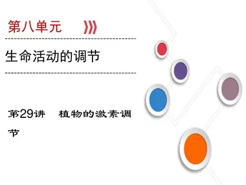 2019大一轮高考总复习生物(人教版)课件：第八单元 生命活动的调节 第29讲 植物的激素调节