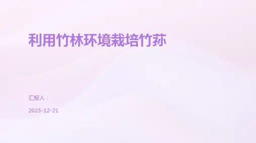 利用竹林环境栽培竹荪