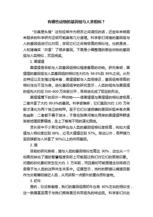 有哪些动物的基因组与人类相似？