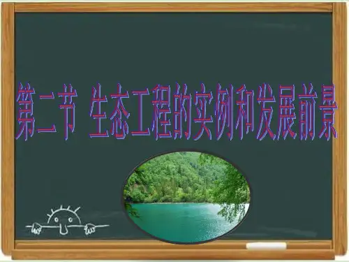 《现代生物科技专题》《生态工程的实例和发展前景》课件
