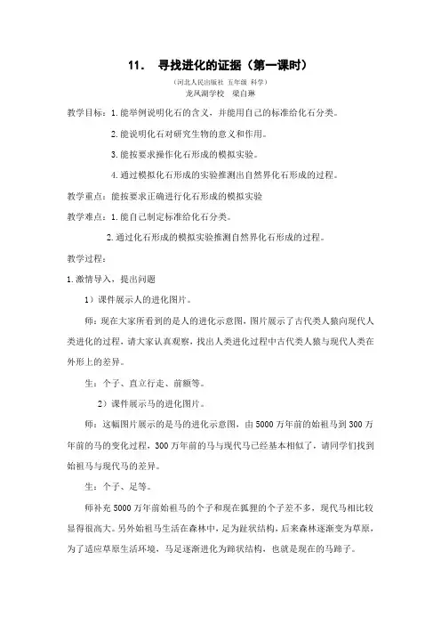 五年级下册科学教案-3.11 寻找进化的证据｜冀教版(1)
