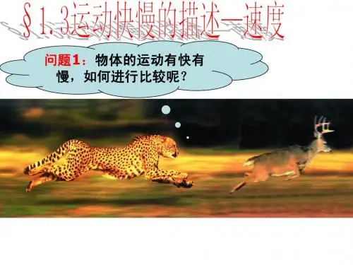 1.3运动快慢的描述-速度(最新)