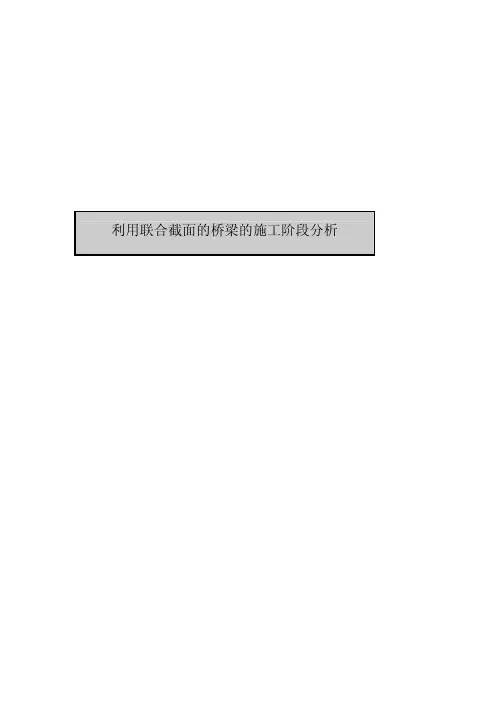 midas例施工阶段联合截面分析 标准形式联合截面 