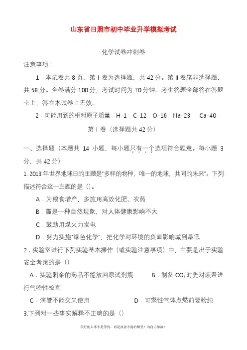 2020—2021年最新山东省日照市中考化学仿真模拟冲刺卷及答案解析.docx