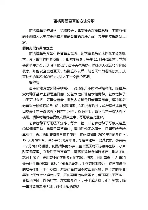 丽格海棠育苗的方法介绍