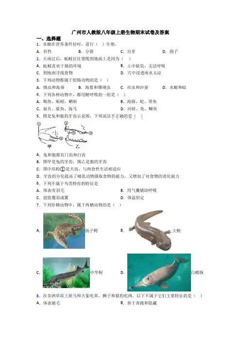 广州市人教版八年级上册生物期末试卷及答案