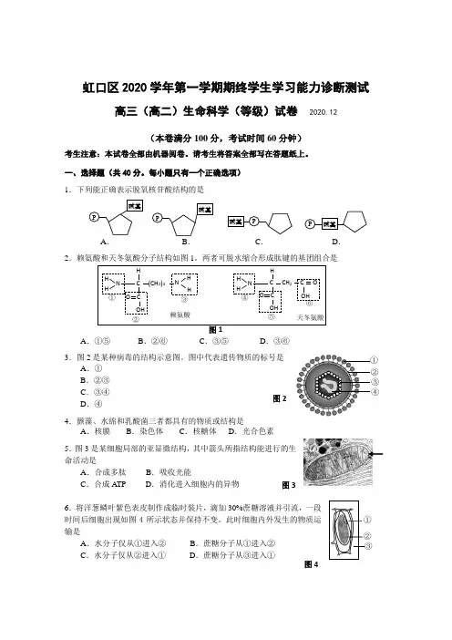 2020-2021学年上海市虹口区高中生物等级考一模卷