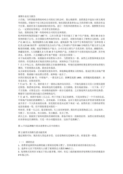 暑期专业实习报告