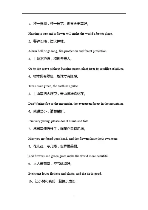 高考英语作文素材：有关保护树木的句子总结
