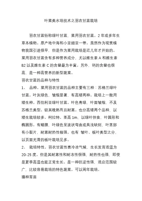 叶菜类水培技术之羽衣甘蓝栽培