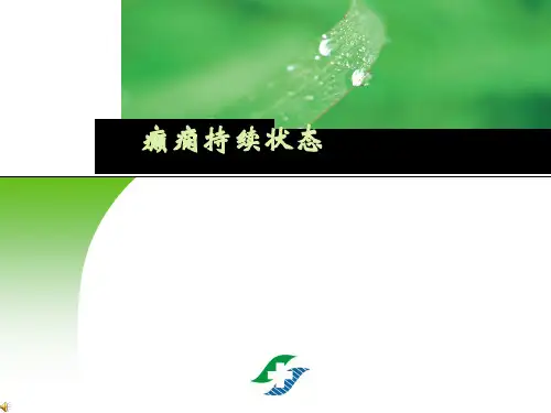 癫痫持续状态新进展PPT