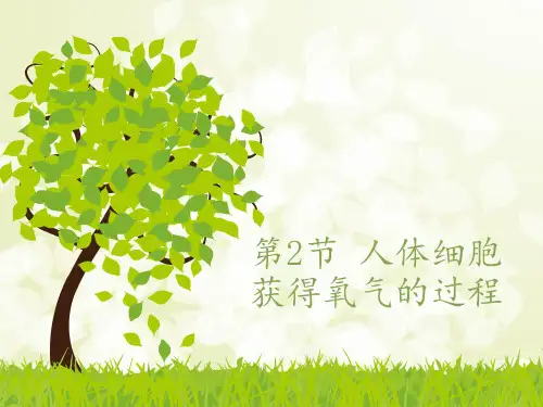 北师大版七年级生物下册第十章第二节-人体细胞获得氧气的过程(Devon